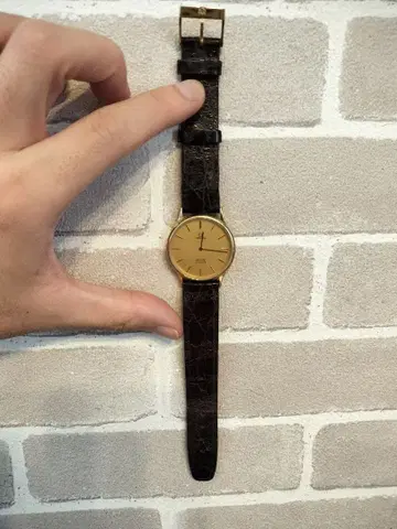 OMEGA 데빌 손목시계