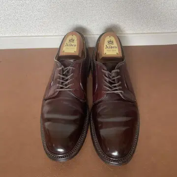 알든 990 플레인토 코도반 8D