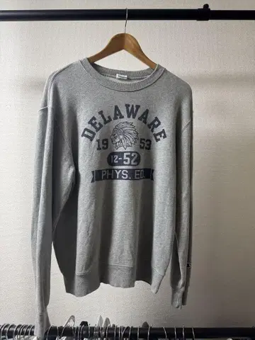 Champion DELAWARE 스웨트 셔츠 L 그레이