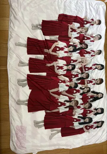 사쿠라자카46 BIG 담요