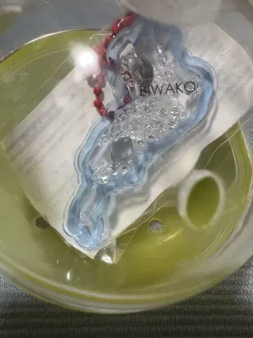 BIWAKO 아크릴 키링 물고기