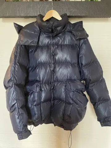 DAIWA PIER39 테크 백 패커 다운 L 사이즈