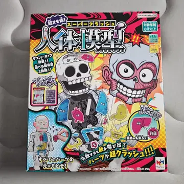 BANDAI NAMCO 인체 모형