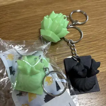 아가베 비카쿠시다 키링
