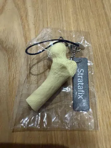 Stratafix 뼈 모양 키링 크림색