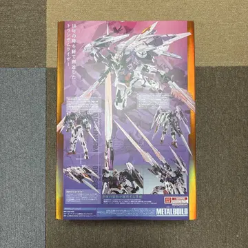 METAL BUILD 트랜잠 라이저