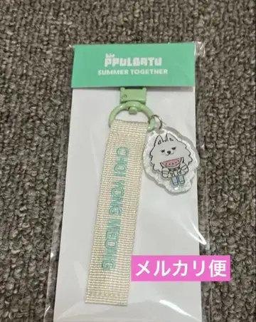 TXT SUMMER TOGETHER PPULBATU 용몽택 키링