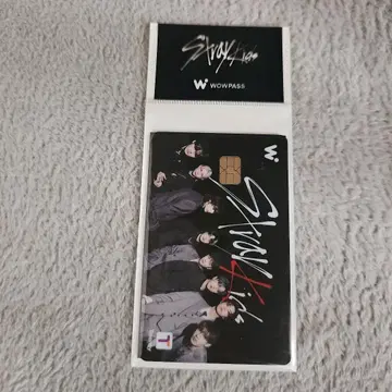 Stray Kids 스키즈 WOWPASS 집합