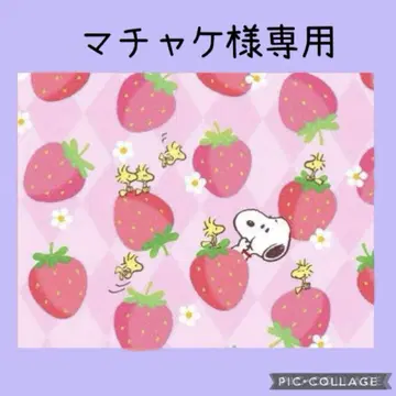유키에몬 마로니카 부처 오더