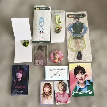 TWICE 정연 아크릴 스탠드 피크 트레카 세트
