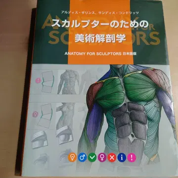 스컬프터를 위한 미술 해부학