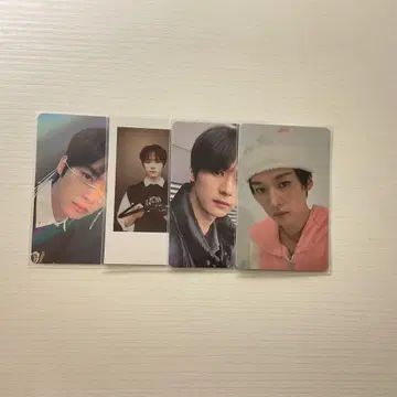 straykids 리노