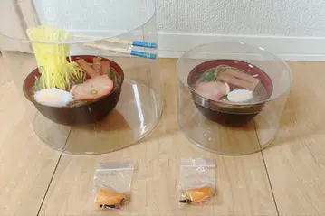 라면 귤 식품 샘플