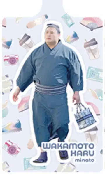 스모 순회 중! 러기지 택 와카모토하루