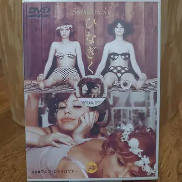 영화 히나기쿠 DVD 1966년 체코 슬로바키아 베라 히틸로바