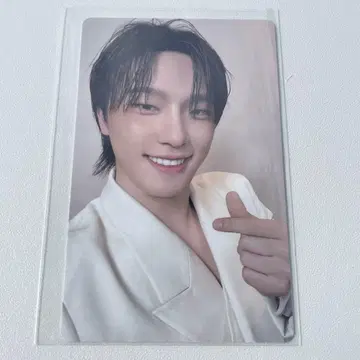 SEVENTEEN 세부치 인천 회장 트레이딩 카드 디노