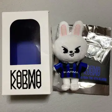 StrayKids 스키즈 KARMA skzoo 키링 트레이딩 카드 리빗