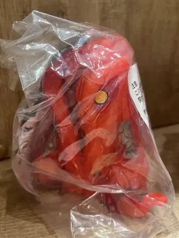 진좌수 헤도라 고질라 스토어 daiba 한정 컬러