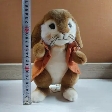 벤자민 슈타이프