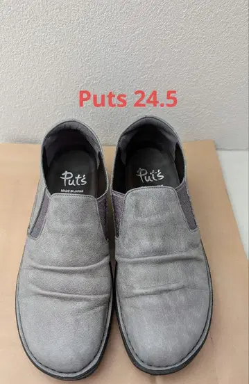 Put's 24.5 그레이