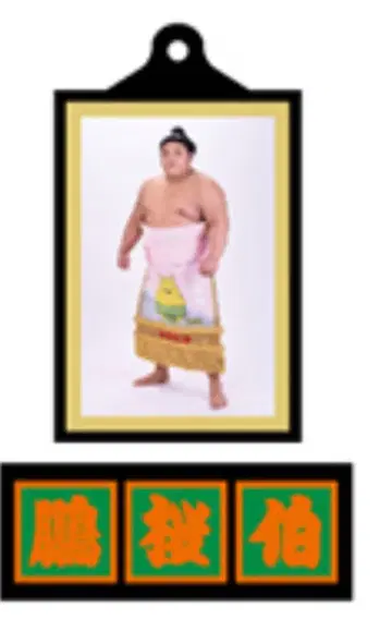 스모 아케니키 키링 하쿠오호