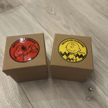 BAYFLOW 스누피 [ PEANUTS ] 오키아가리코보시