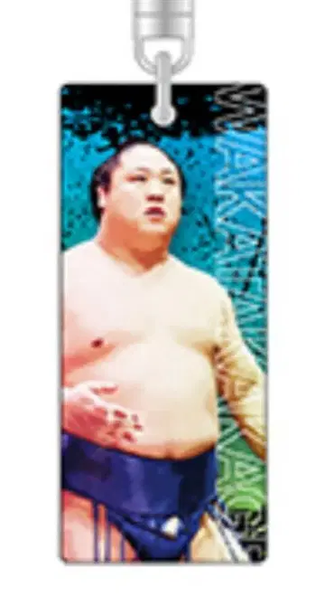 스모 스틱 키링 와카타케루