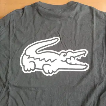 LACOSTE 라코스테 온라인 한정판 로고 프린트 긴팔 T셔츠 롱티