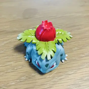 몬코레 이상해풀 얼굴 다름