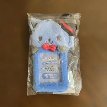 제오참 레인 트레이딩 카드 케이스 Jochum