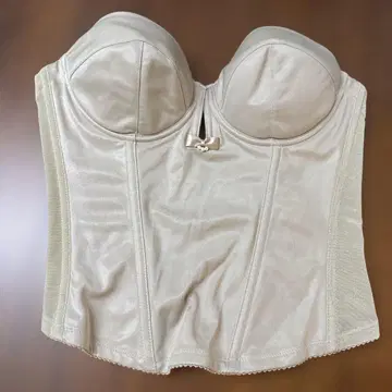 bridal bloom 브라이덜 블루 뷔스티에 E70