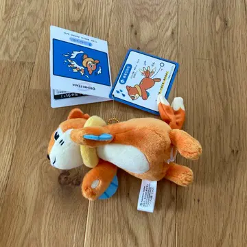 마스코트 OTENKI TEAM 스이 스이 부이젤 포켓몬 센터