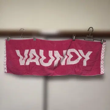VAUNDY 로고 타월 핑크