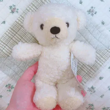 [오늘 발송 가능] 곰 봉제 인형 동심 일본제 크림색 [가격 인하 가능]