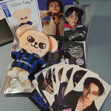 Straykids karma skzoo ver. 승민 퍼핌