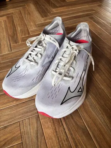 Mizuno Wave Rebellion Pro 2