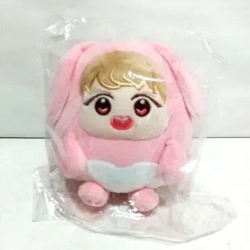 [ 미사용 새상품 ] Wanna One 박지훈 봉제 인형 워너원 한류