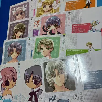 피타텐 북커버 혜택 한정판 코게돈보 코게돈보 레어