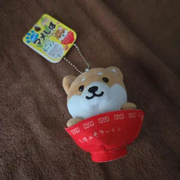 여행하는 콩 시바