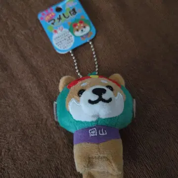여행하는 콩 시바
