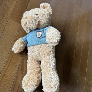 eddy bear world 곰 봉제 인형