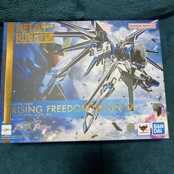 METAL ROBOT혼 RISING FREEDOM GUNDAM