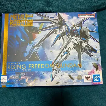 METAL ROBOT혼 RISING FREEDOM GUNDAM