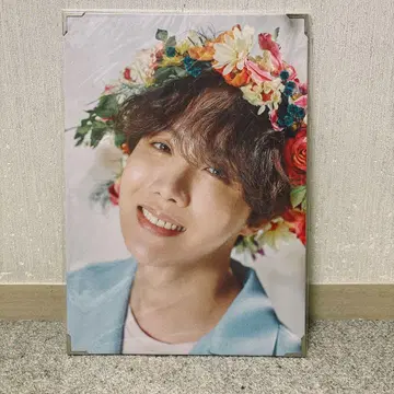 BTS J-HOPE LOVE YOURSELF TOUR 프리미엄 사진
