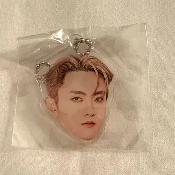 INI 타지마 쇼고 얼굴 아크릴 키링