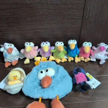 Nici 벌새, 병아리, 새