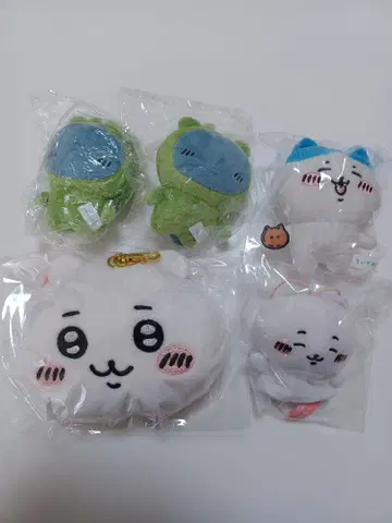 치이카와 세트