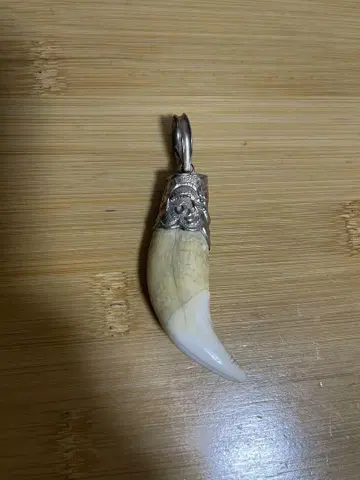 은 도금 송곳니 펜던트