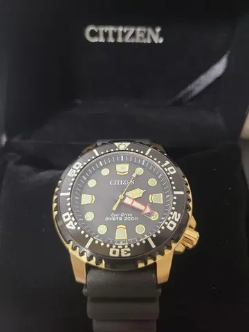 무료배송 CITIZEN Eco-Drive Diver's 200m