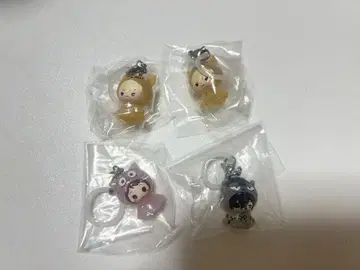 히로아카 메지루시 액세서리 애니멀 ver